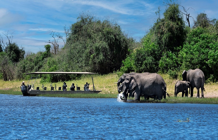 Chobe River
